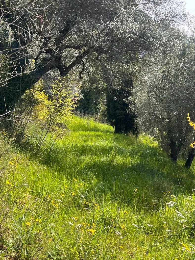 Villa in vendita a Terni - foto 2