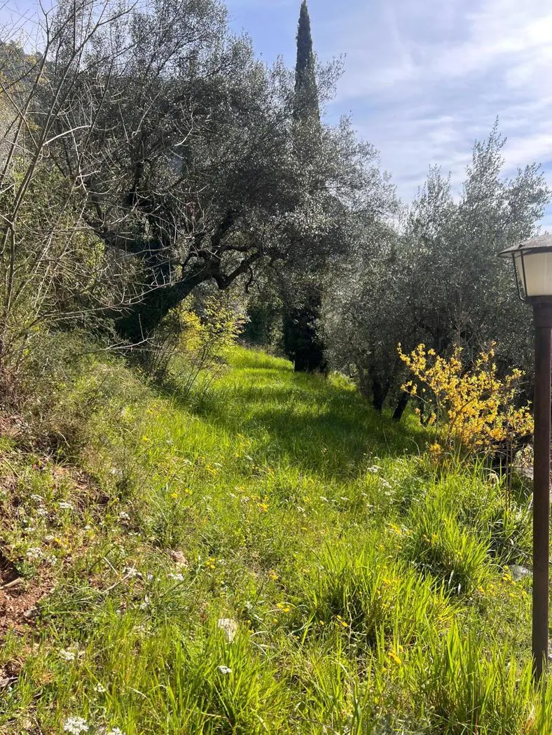 Villa in vendita a Terni - foto 3