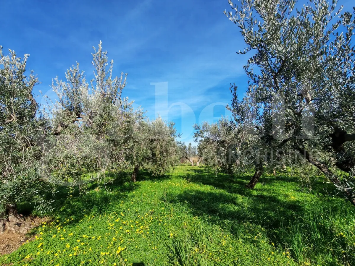 Casa indipendente in vendita a Vasto - foto 4
