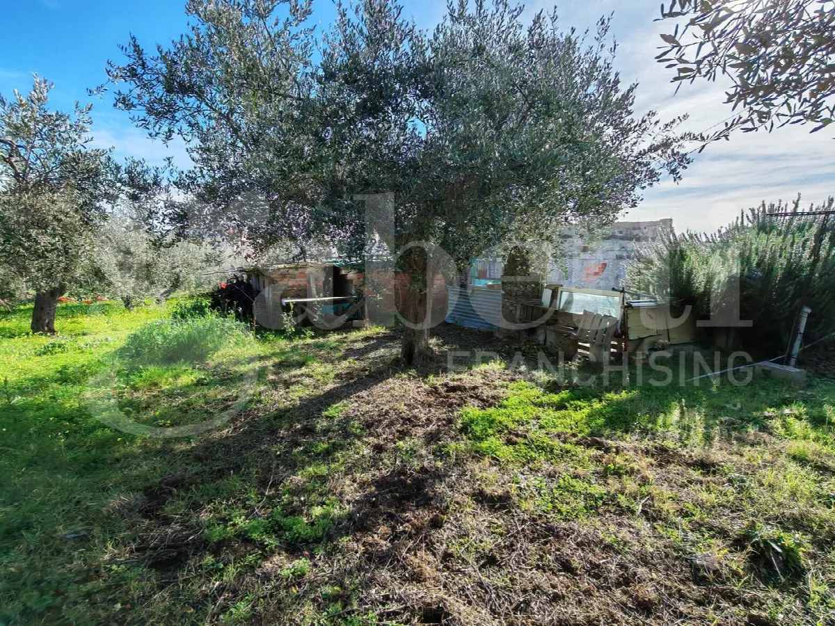 Casa indipendente in vendita a Vasto - foto 5