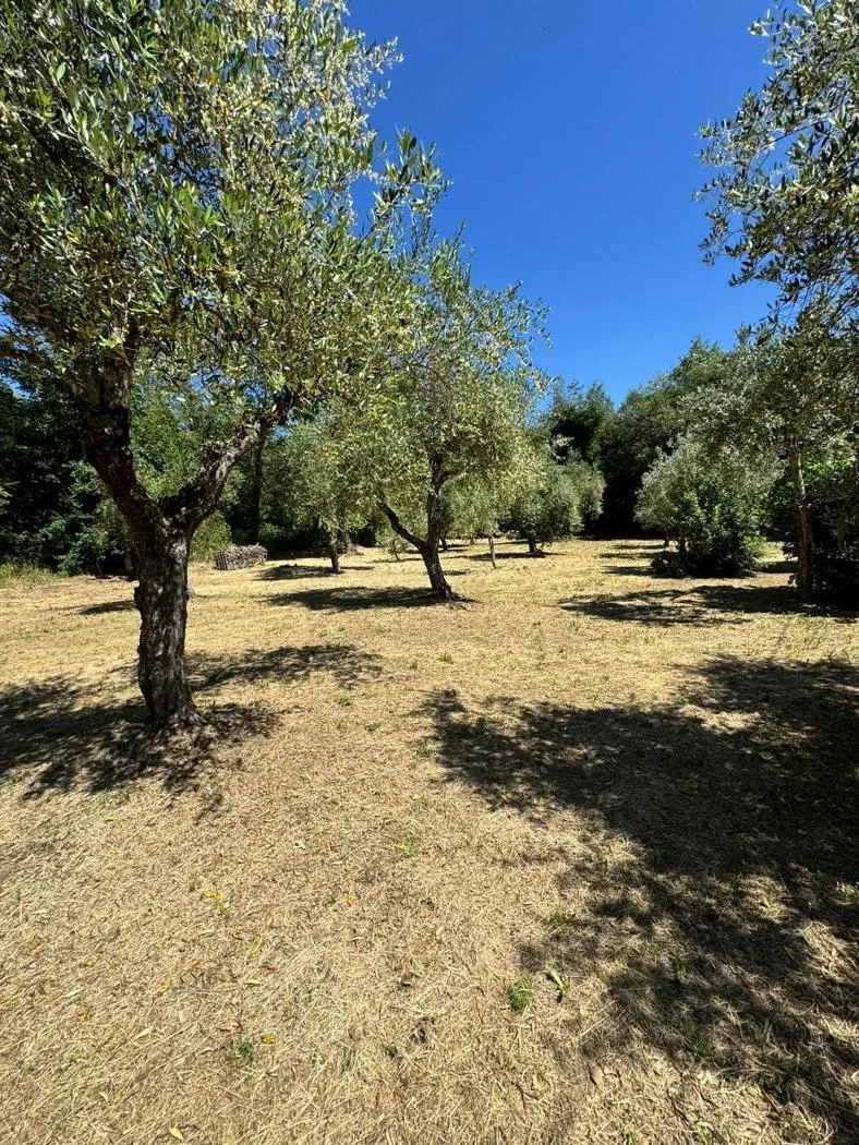 Casa indipendente in vendita a Tuoro sul Trasimeno - foto 5