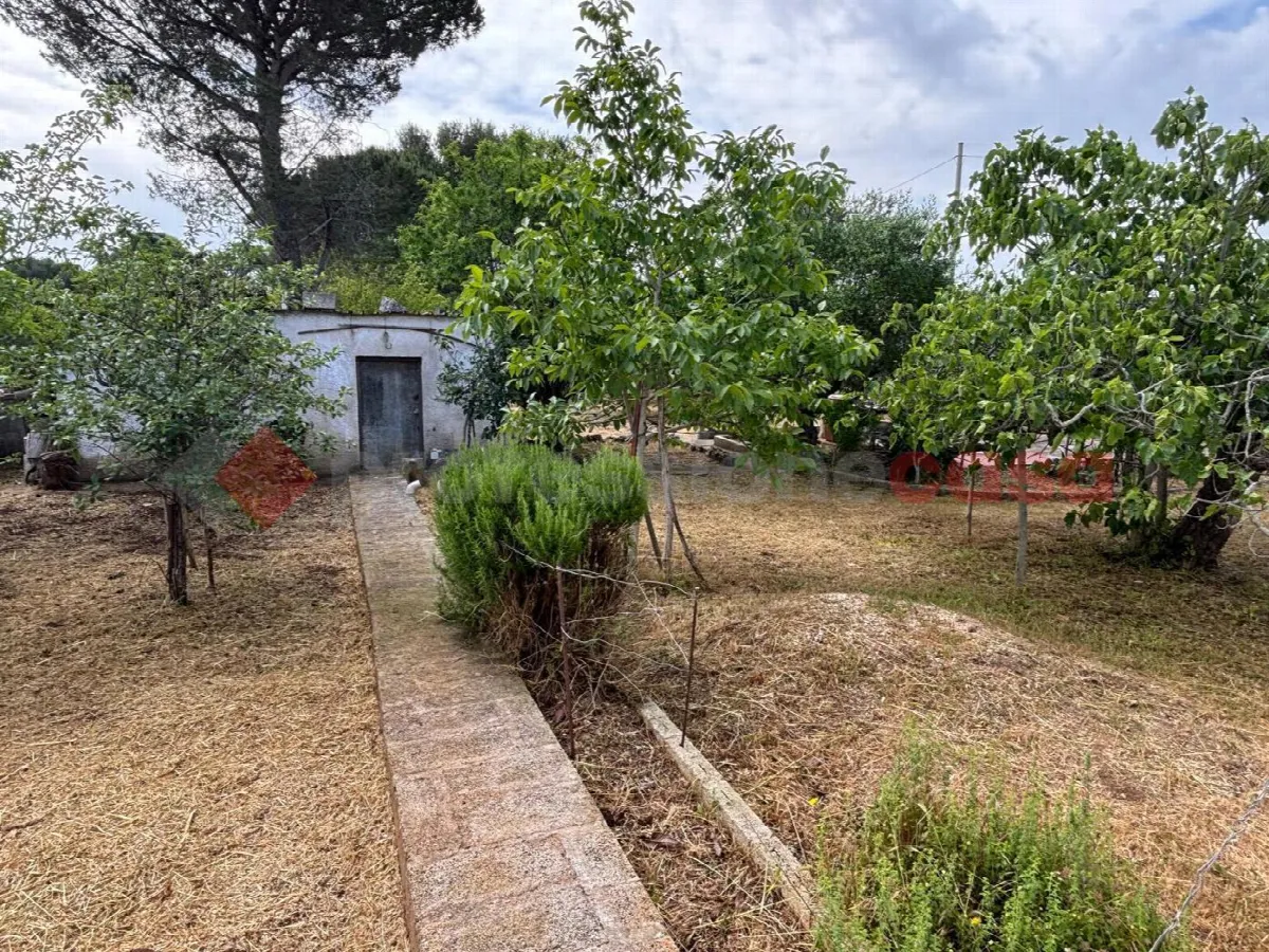 Villa in vendita a Martina Franca - foto 4