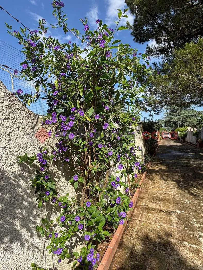 Villa in vendita a Martina Franca - foto 5