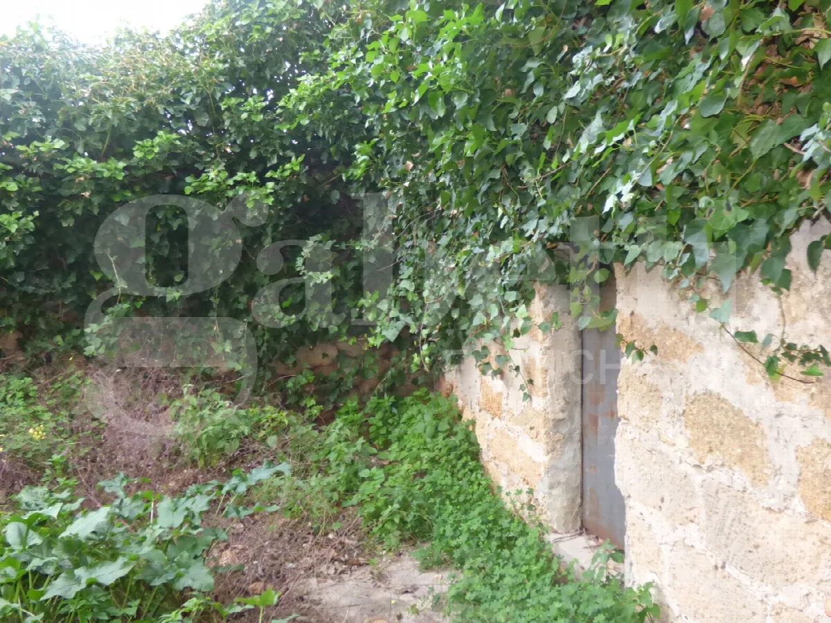 Casa indipendente in vendita a Carini - foto 2