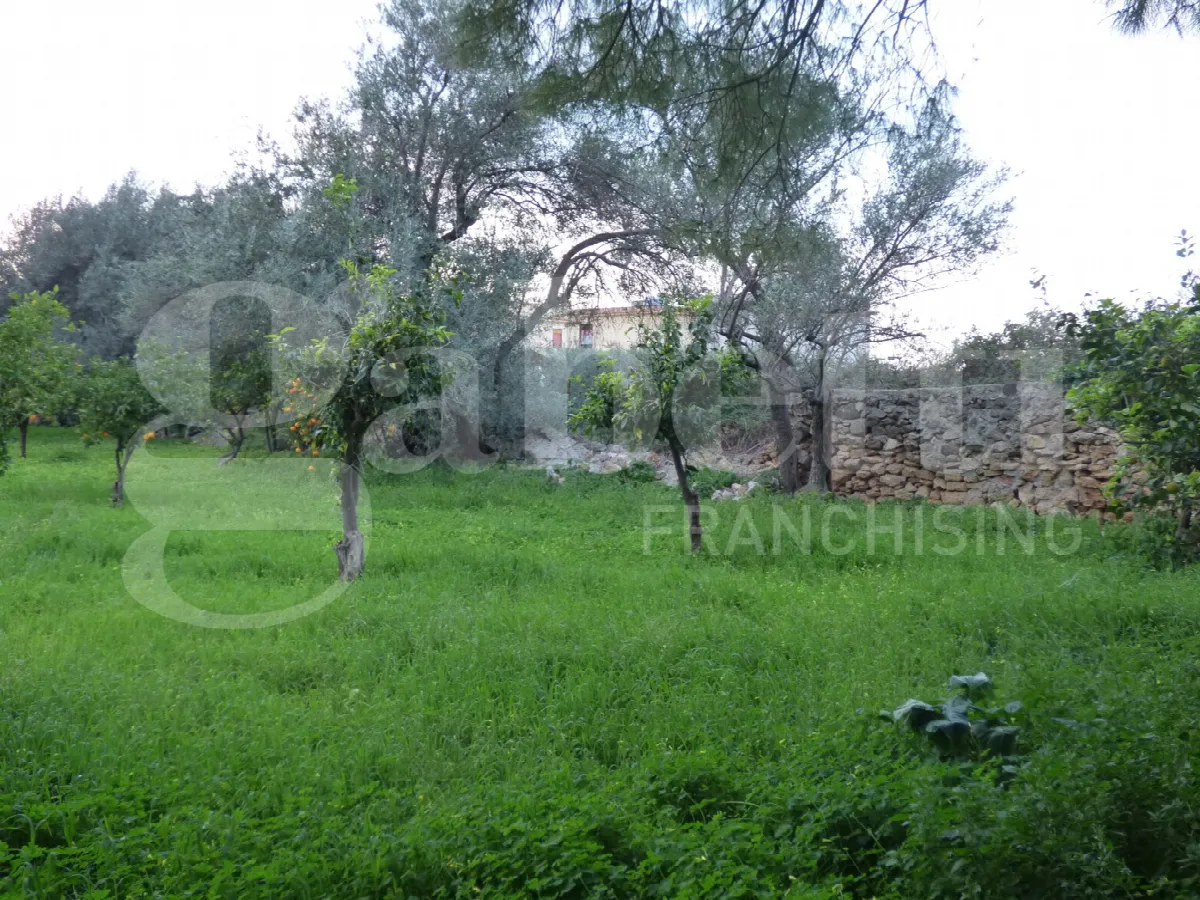 Casa indipendente in vendita a Carini - foto 3