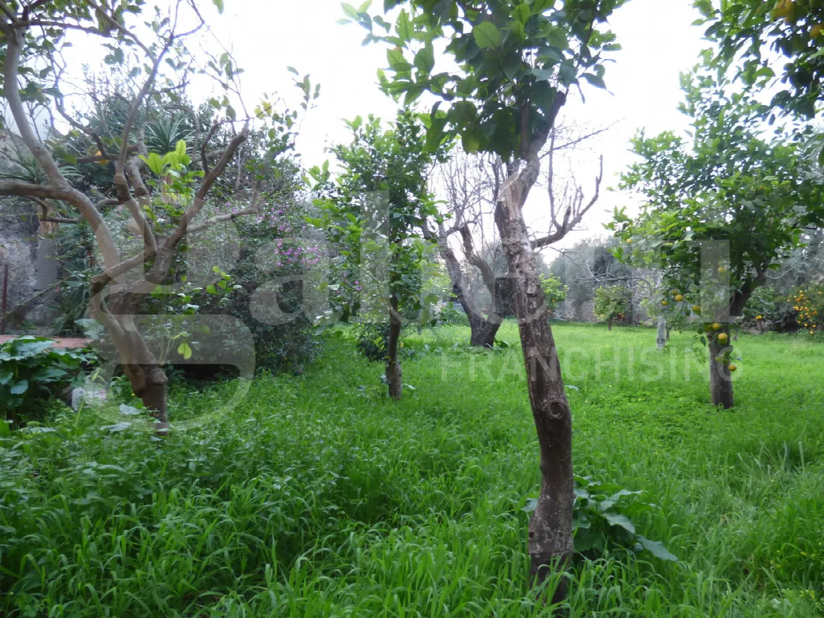 Casa indipendente in vendita a Carini - foto 4