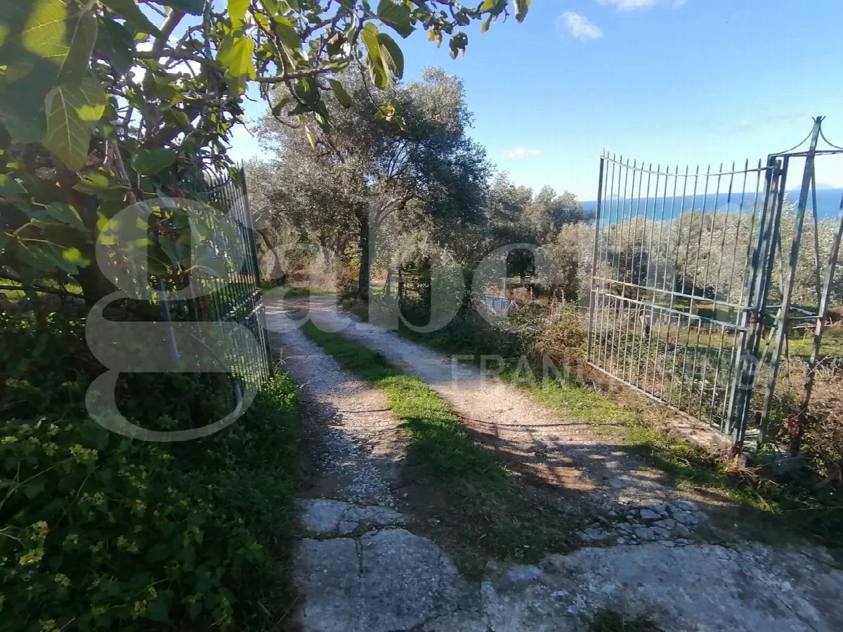 Casa indipendente in vendita a Sant'Agata di Militello - foto 4