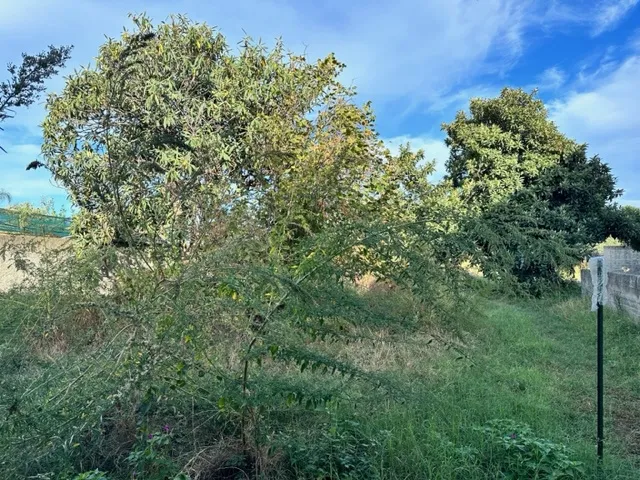 Casa indipendente in vendita a Milazzo - foto 4
