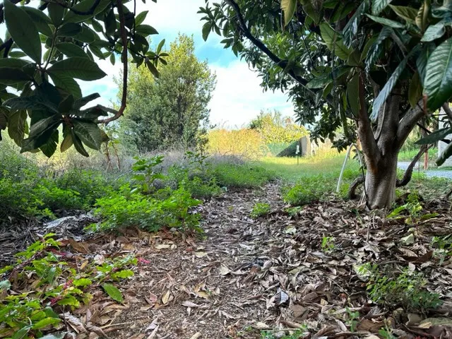 Casa indipendente in vendita a Milazzo - foto 5