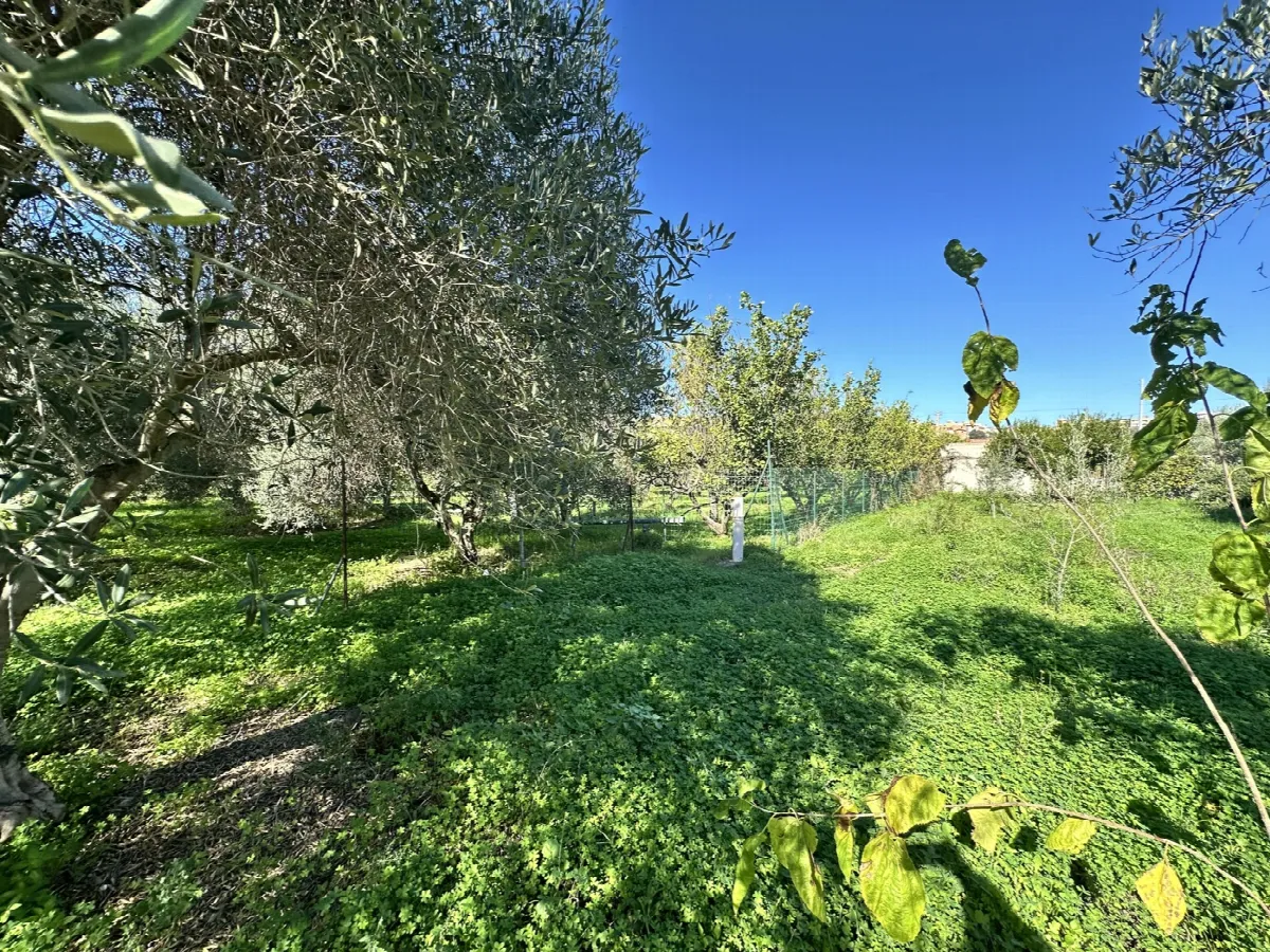 Villetta a schiera in vendita a Castroreale - foto 7