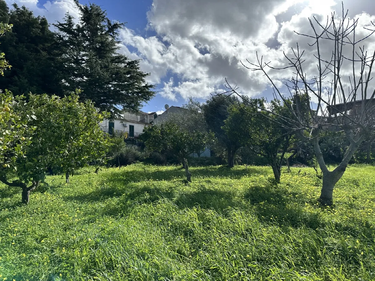 Villetta a schiera in vendita a Tripi - foto 8