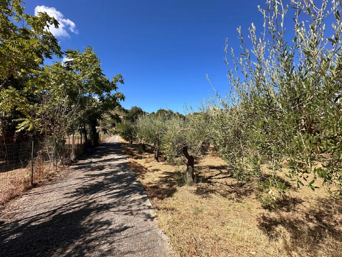 Villetta a schiera in vendita a Barcellona Pozzo di Gotto - foto 4