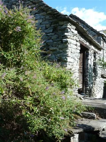 Rustico in vendita a Montecrestese - foto 2