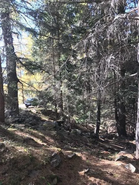 Rustico in vendita a Varzo - foto 3