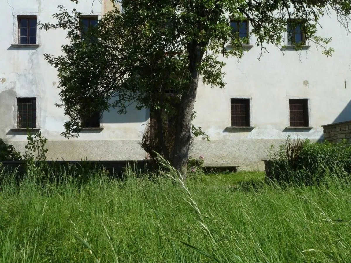 Casa indipendente in vendita a Trontano - foto 4