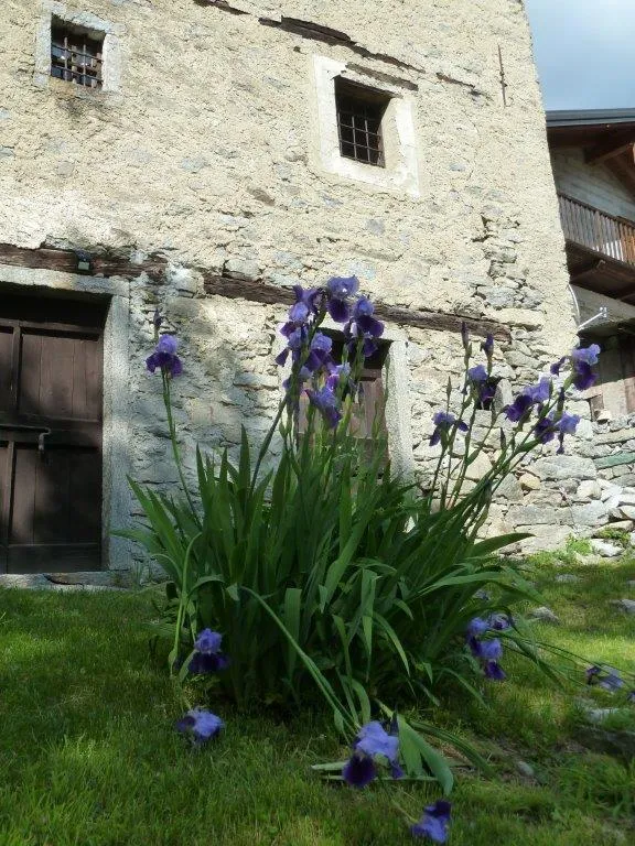 Rustico in vendita a Varzo - foto 5