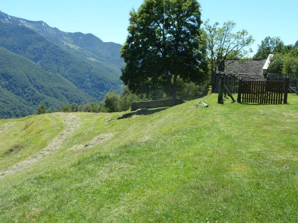 Rustico in vendita a Masera - foto 3