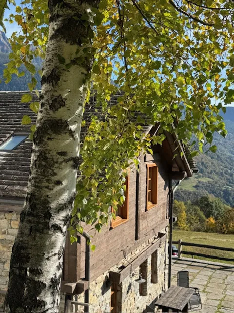 Rustico in vendita a Trasquera - foto 2