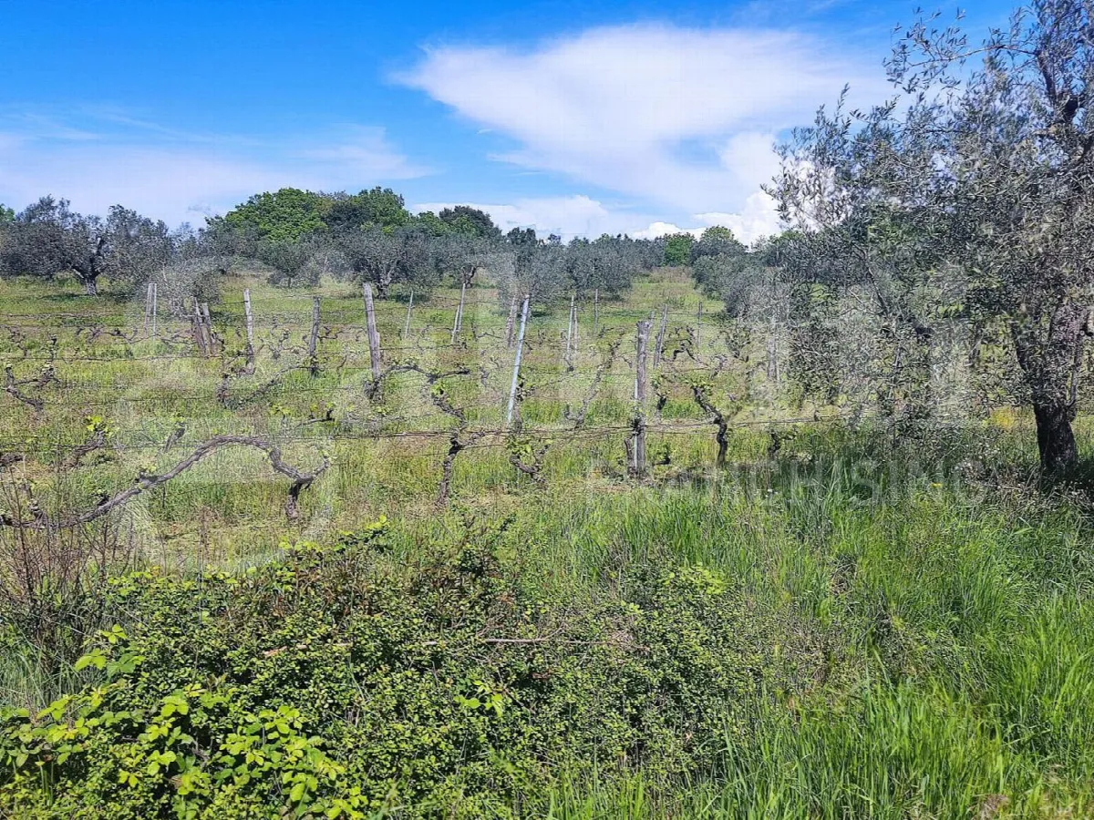 Rustico in vendita a Massa Marittima - foto 1
