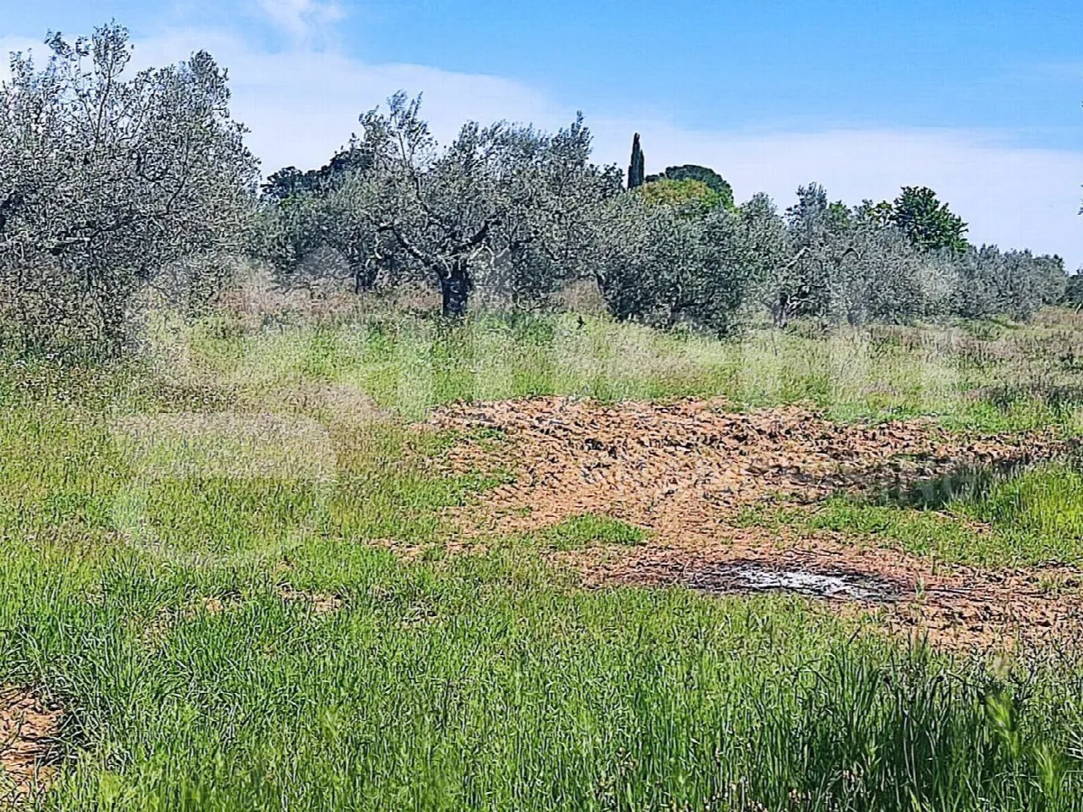 Rustico in vendita a Massa Marittima - foto 10