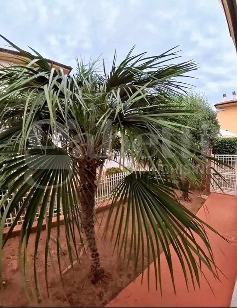 Appartamento in vendita a Follonica - foto 3