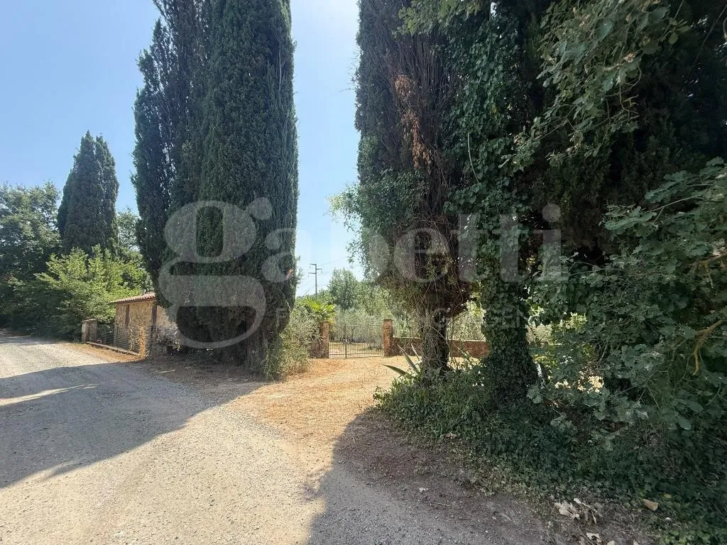Casa indipendente in vendita a Gavorrano - foto 10