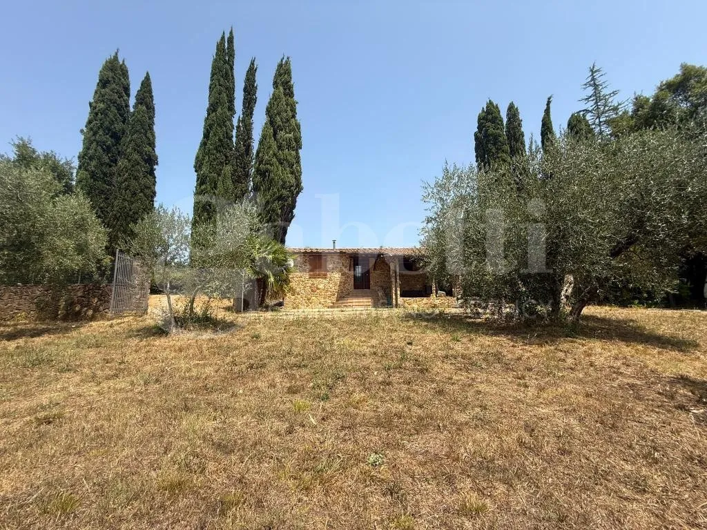 Casa indipendente in vendita a Gavorrano - foto 3