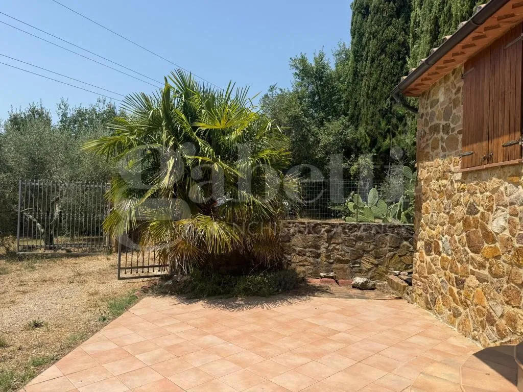 Casa indipendente in vendita a Gavorrano - foto 5