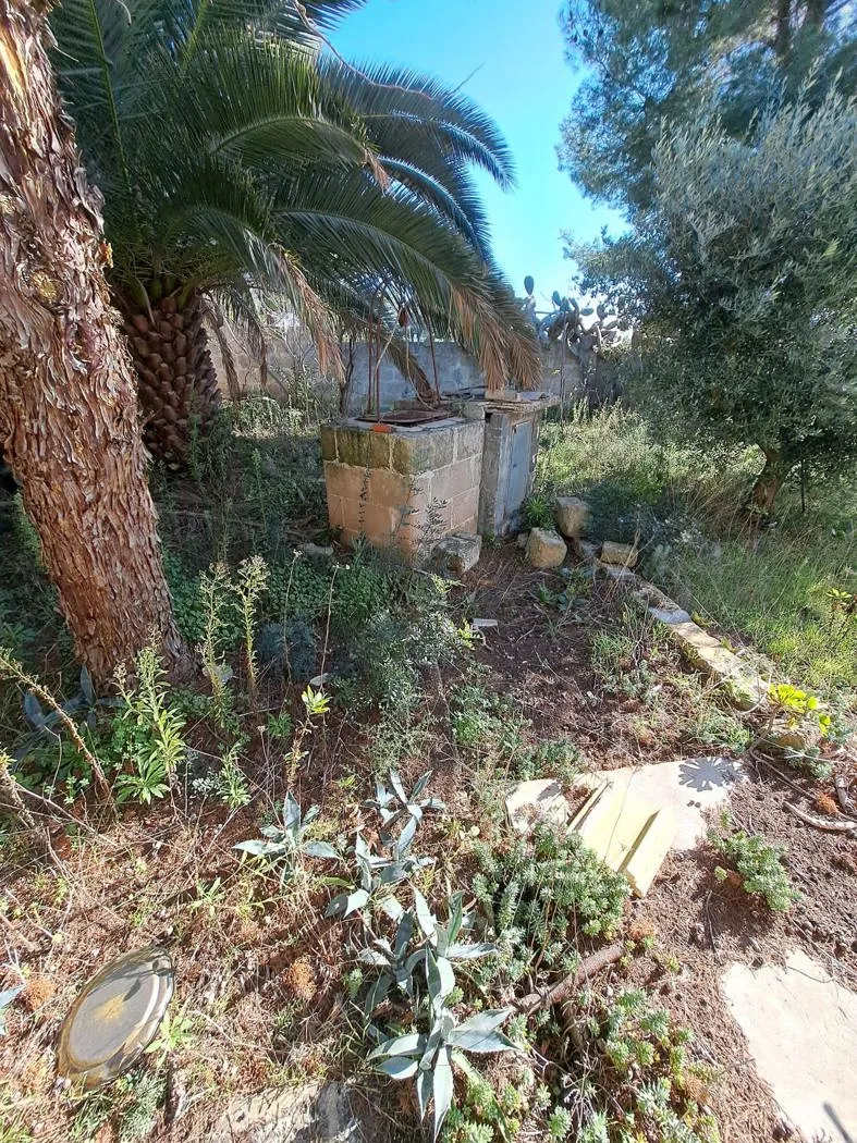 Villa in vendita a Manduria - foto 7