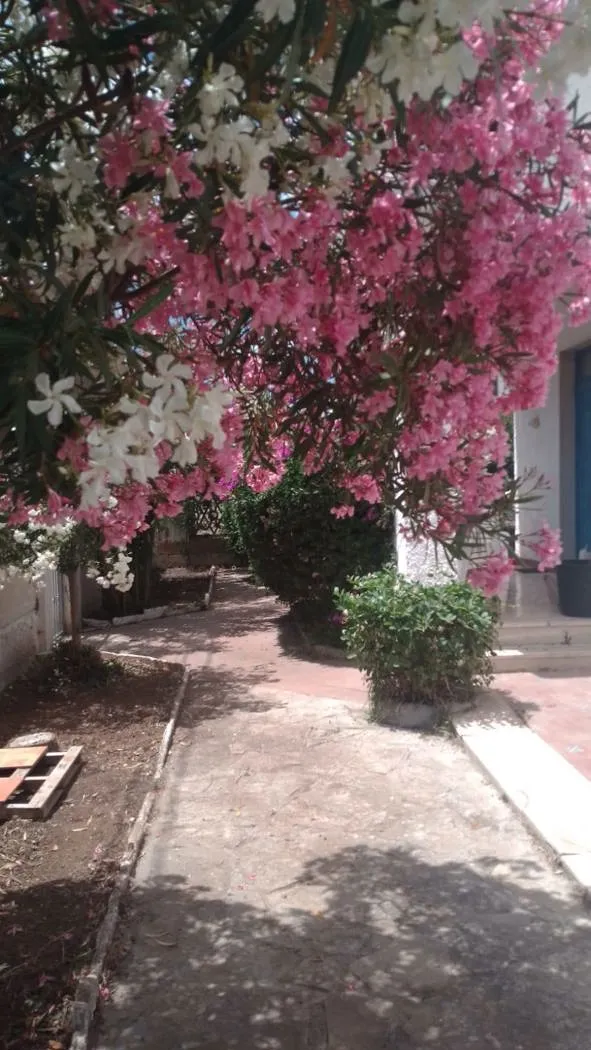 Casa bifamiliare in vendita a Manduria - foto 6