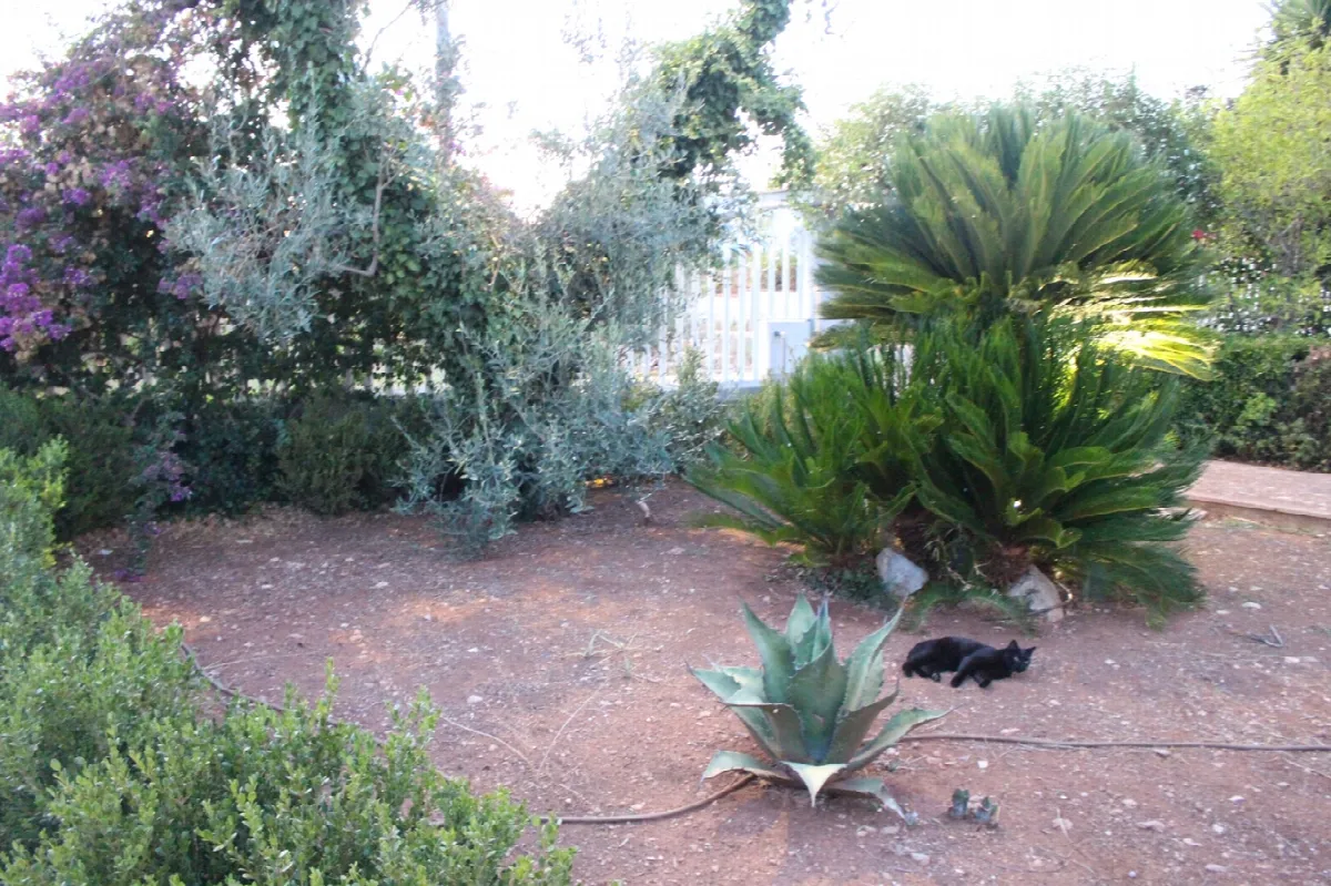 Casa bifamiliare in vendita a Manduria - foto 10