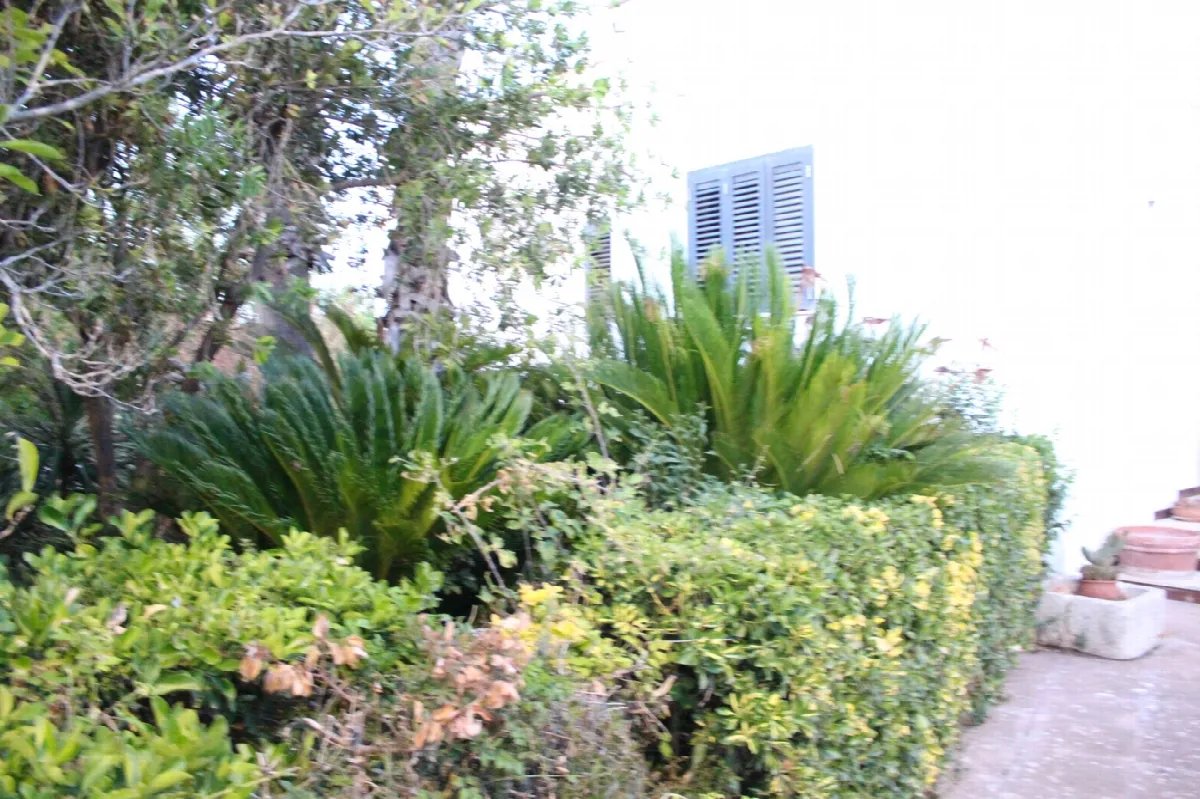 Casa bifamiliare in vendita a Manduria - foto 5