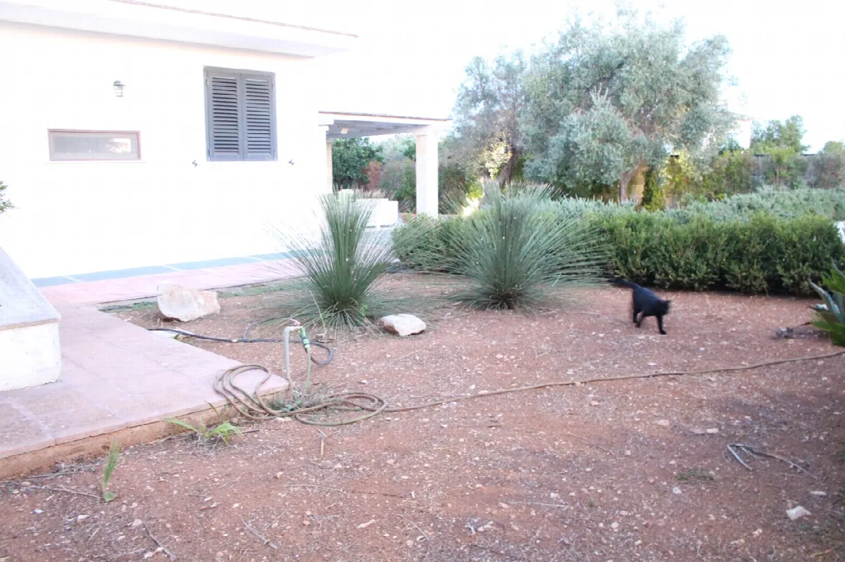 Casa bifamiliare in vendita a Manduria - foto 6