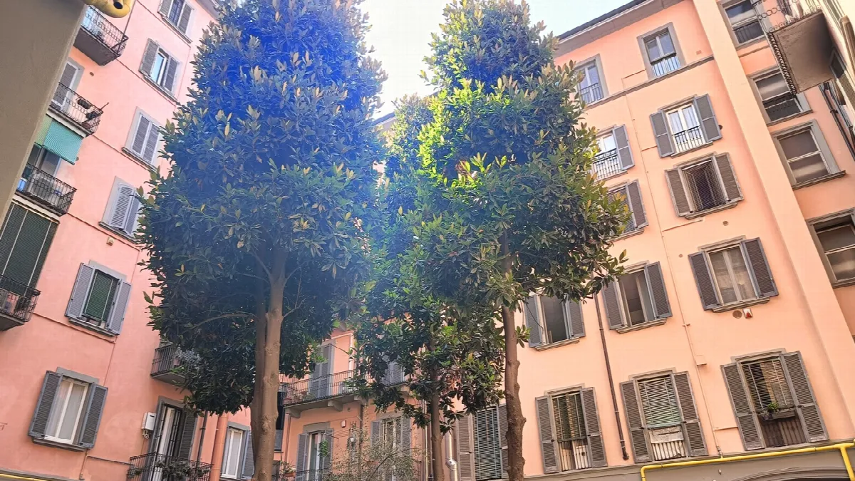 Appartamento in vendita a Milano - foto 6