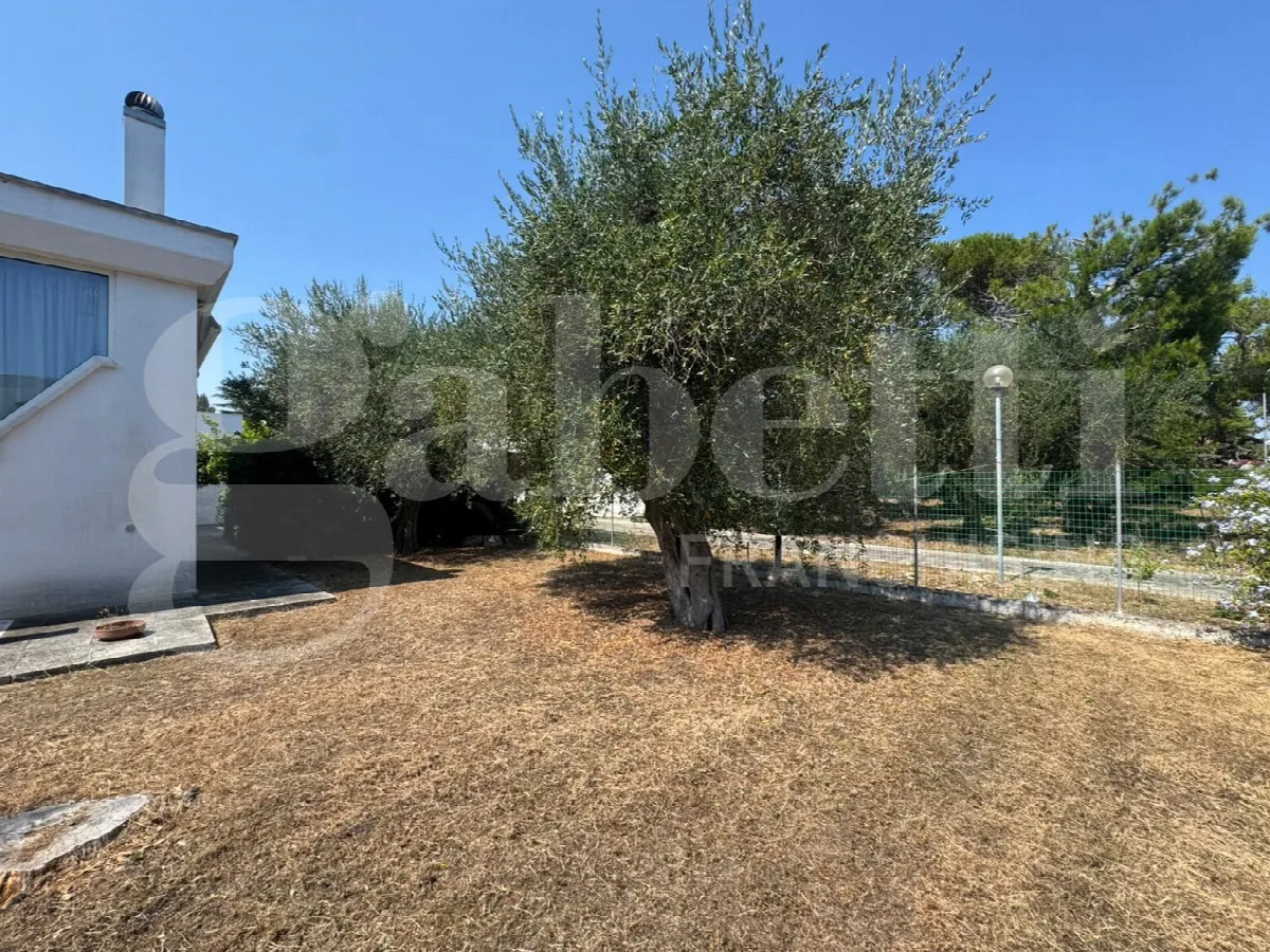 Villa in vendita a Bari - foto 5