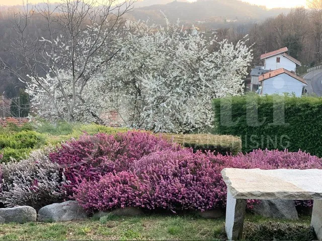 Villetta a schiera in vendita a Veglio - foto 9