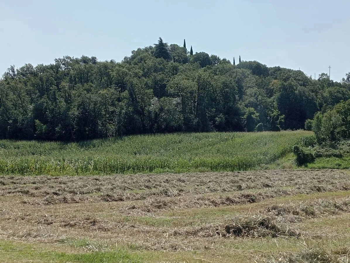 Rustico in vendita a Monzambano - foto 8
