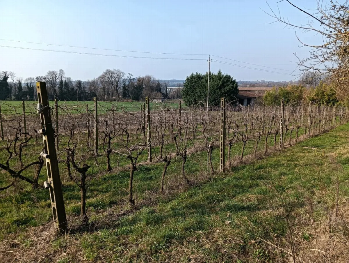 Rustico in vendita a Valeggio sul Mincio - foto 8