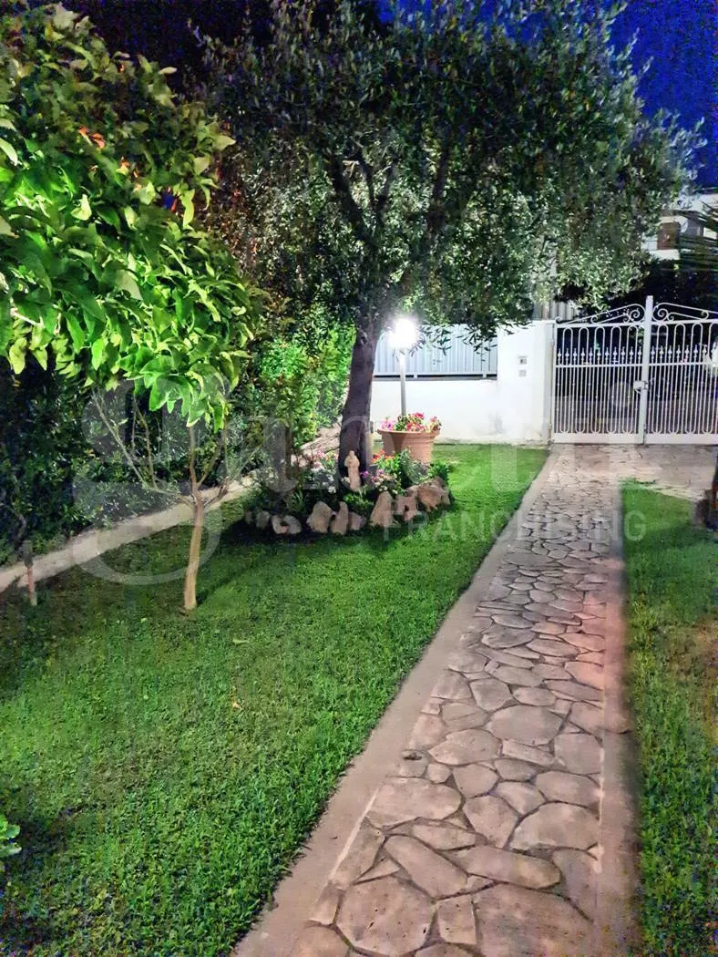 Casa indipendente in vendita a Montalto di Castro - foto 3