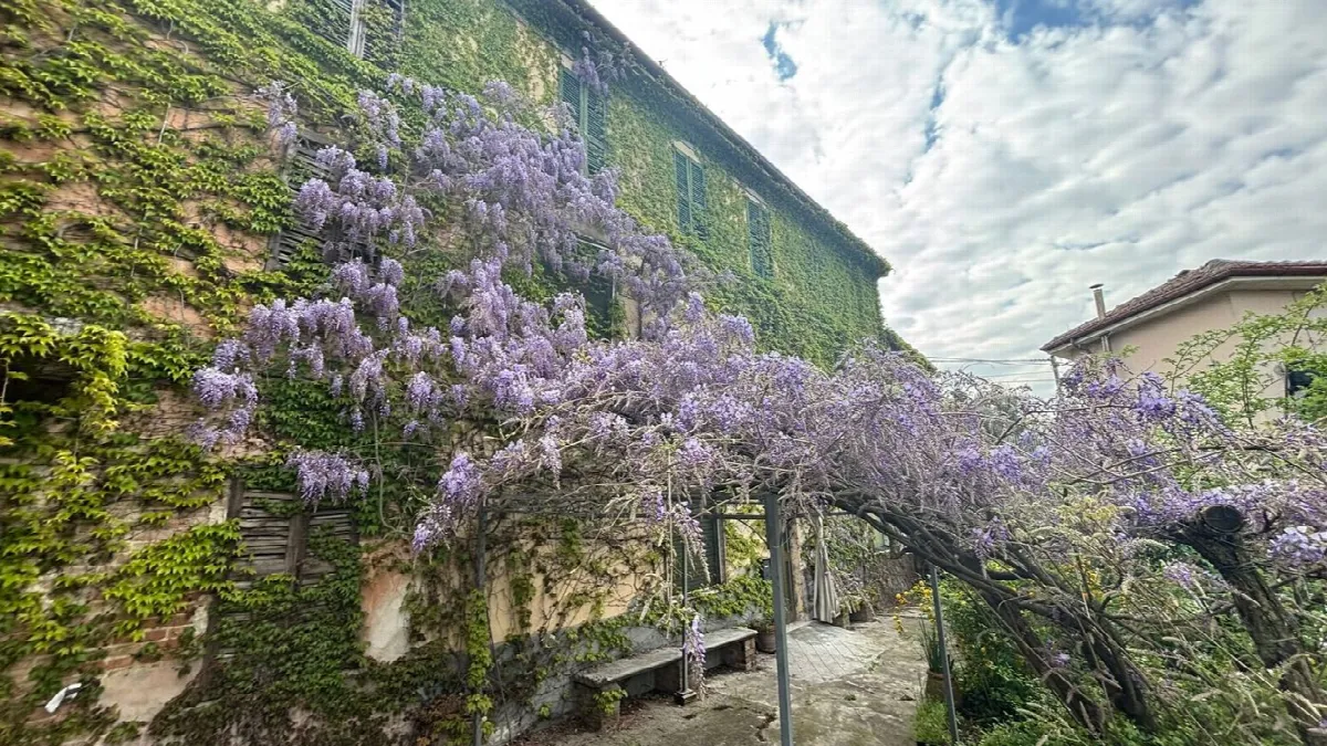 Rustico in vendita a Pietra de' Giorgi - foto 3