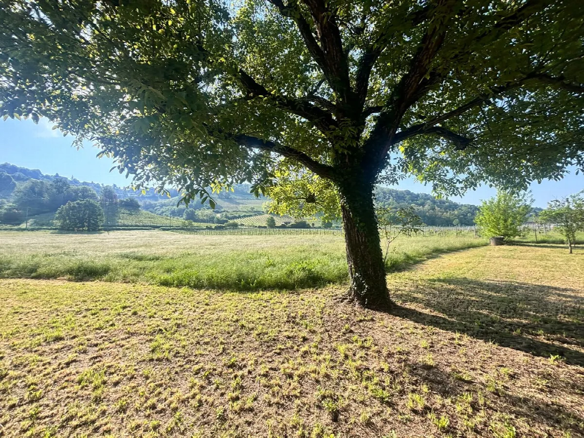 Casa indipendente in vendita a Cigognola - foto 6