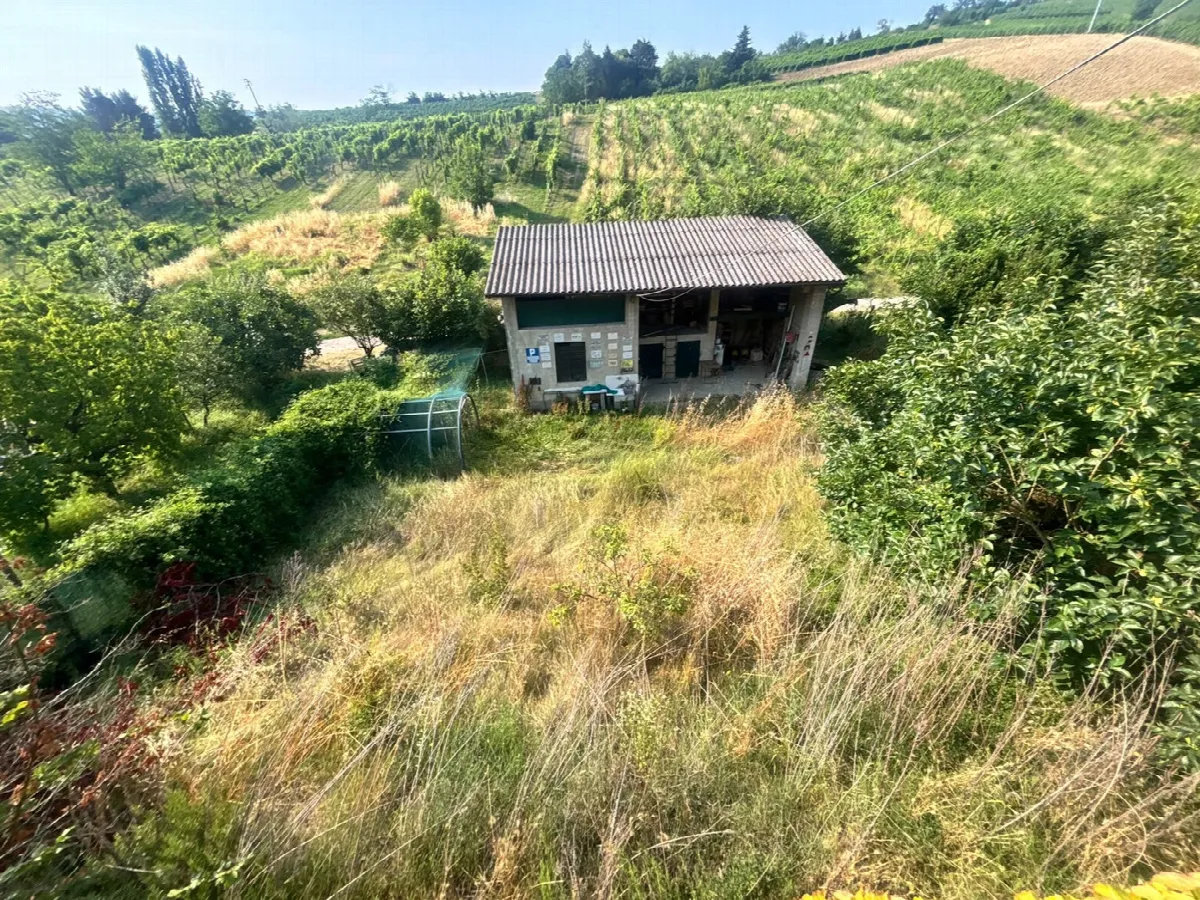 Villa in vendita a Montescano - foto 8