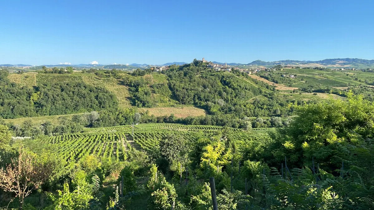 Casa indipendente in vendita a San Damiano al Colle - foto 10