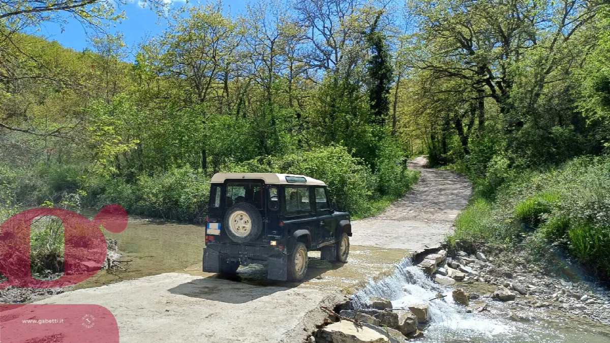 Rustico in vendita a San Venanzo - foto 2