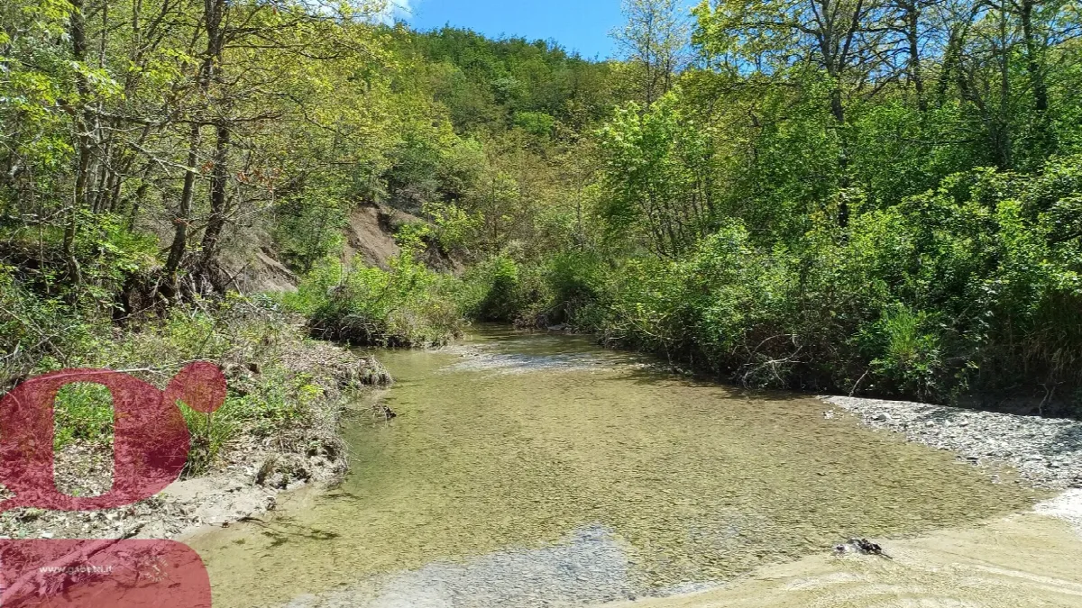 Rustico in vendita a San Venanzo - foto 3