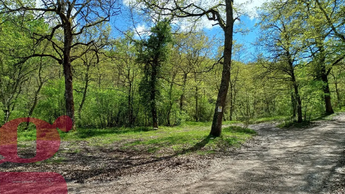 Rustico in vendita a San Venanzo - foto 4