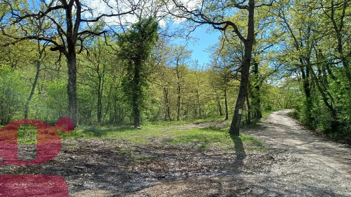 Rustico in vendita a San Venanzo - foto 5