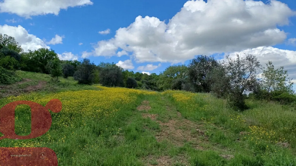 Rustico in vendita a San Venanzo - foto 7