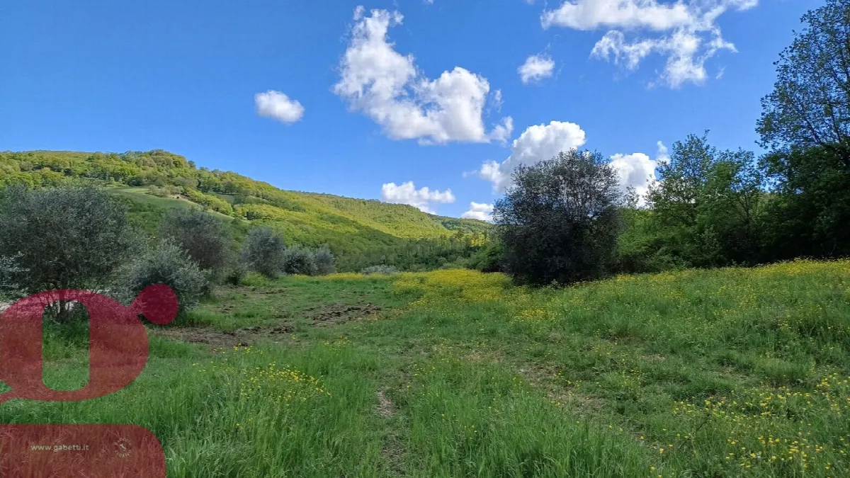 Rustico in vendita a San Venanzo - foto 8