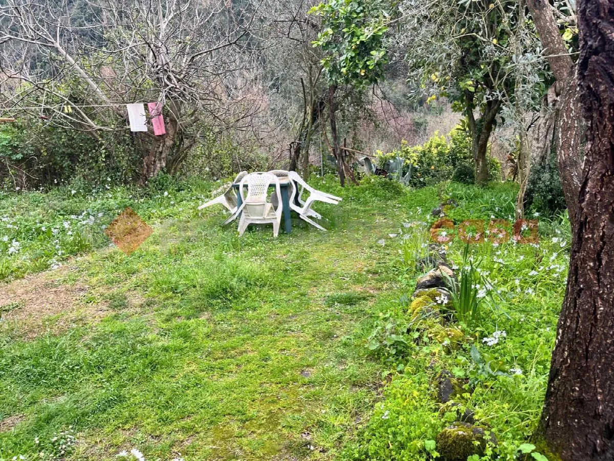 Casa indipendente in vendita a Sant'Elia Fiumerapido - foto 8